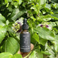 Passionflower Tincture